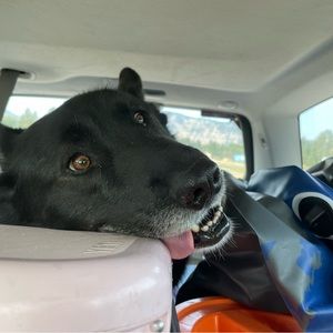 Chaco Fields Ponderosa Pine Boots Women's Sz 7 Waterproof Leather Hiking Trail